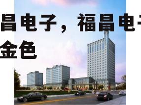 福昌电子，福昌电子 陈金色