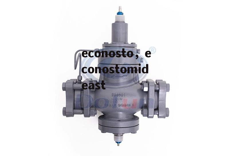 econosto，econostomideast