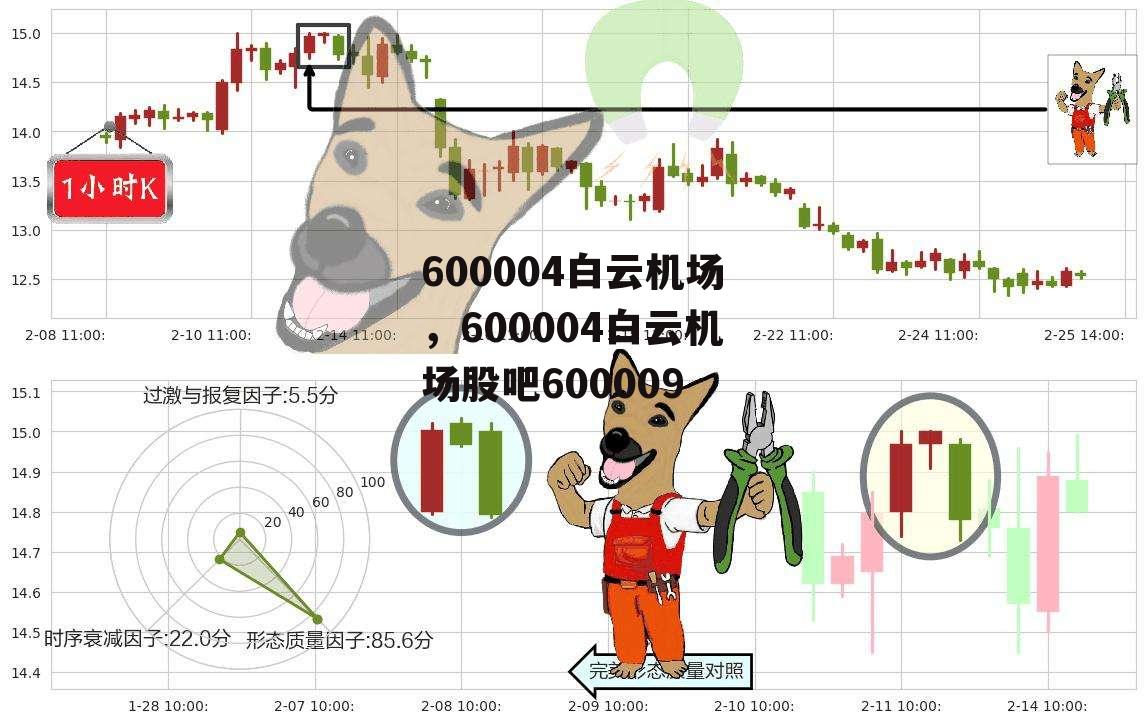 600004白云机场，600004白云机场股吧600009