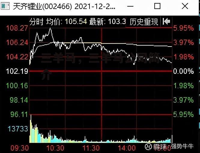 三羊马，三羊马公司简介