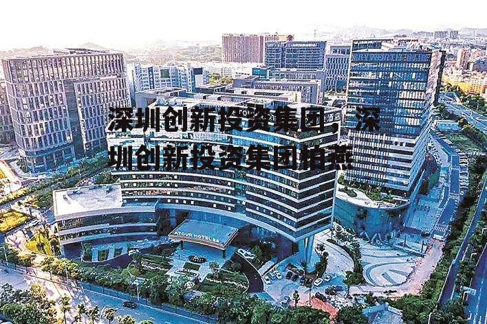 深圳创新投资集团，深圳创新投资集团柏燕