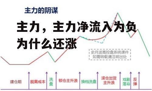 主力，主力净流入为负为什么还涨