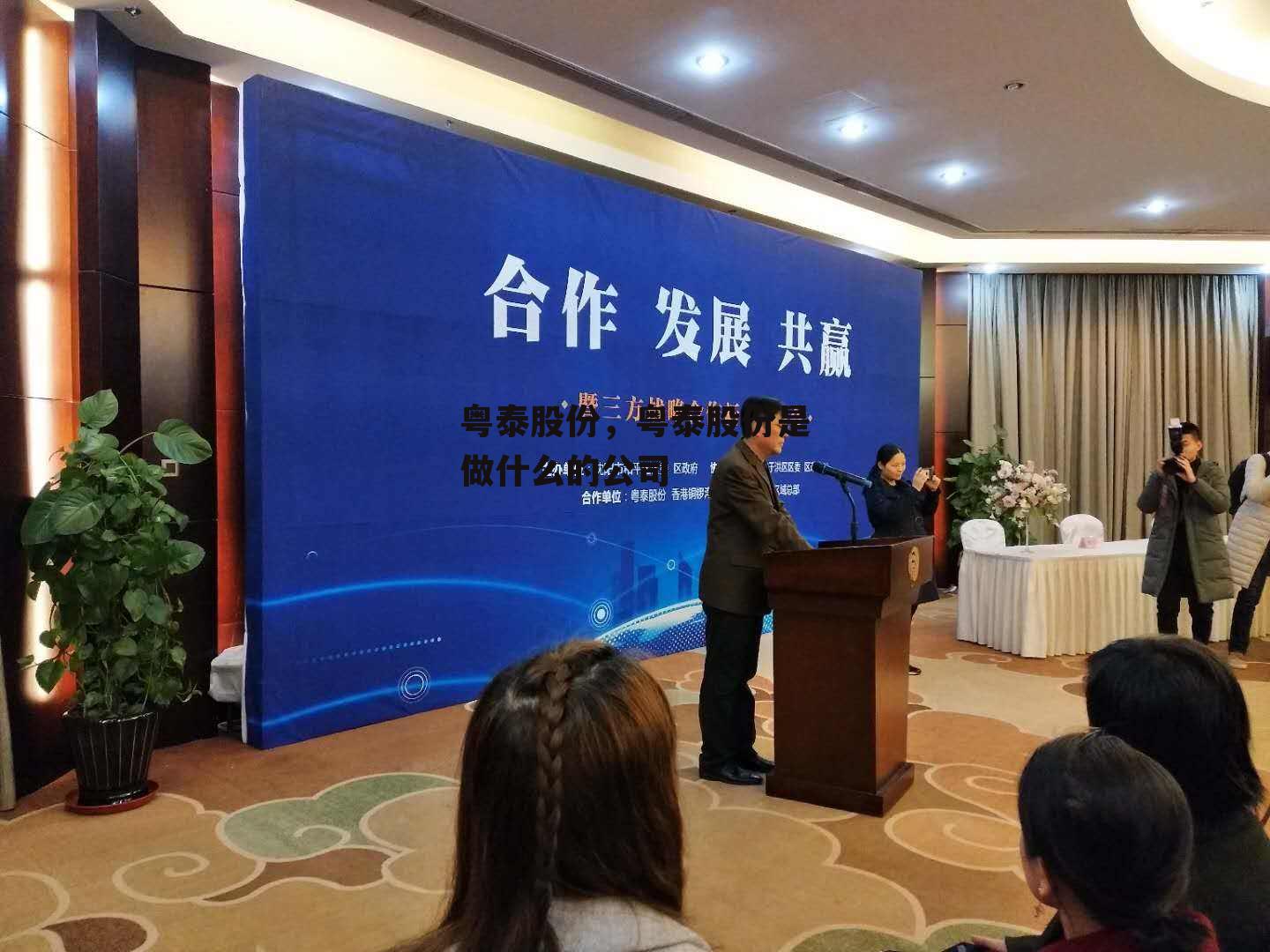 粤泰股份，粤泰股份是做什么的公司