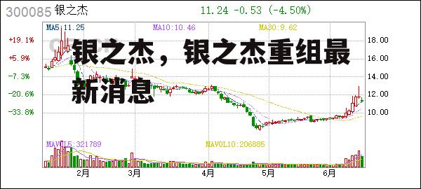 银之杰，银之杰重组最新消息