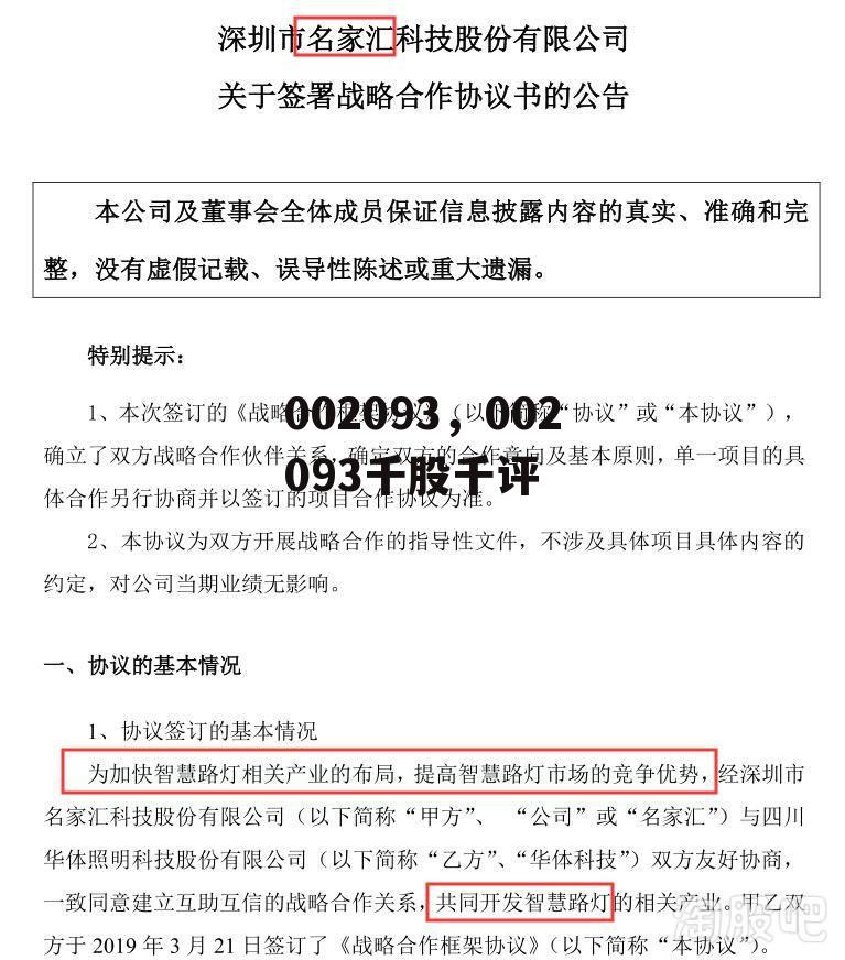 002093，002093千股千评