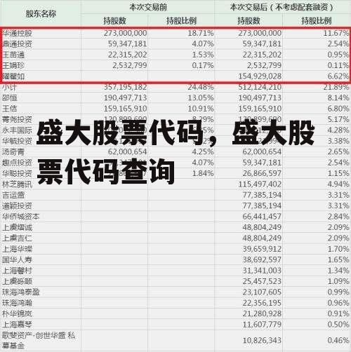 盛大股票代码，盛大股票代码查询