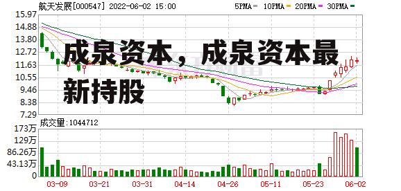 成泉资本，成泉资本最新持股