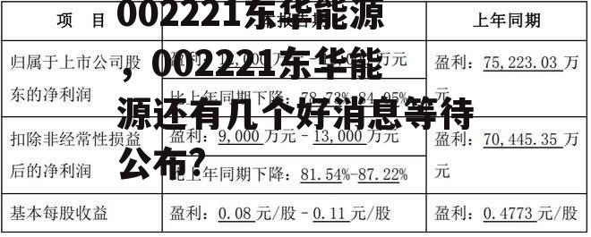 002221东华能源，002221东华能源还有几个好消息等待公布?