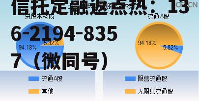 士兰微，士兰微股票前景怎么样