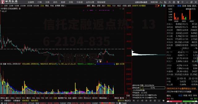 大叶股份，大叶股份公司简介