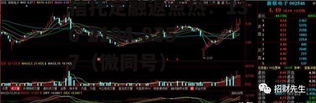 002546，002546新联电子股票