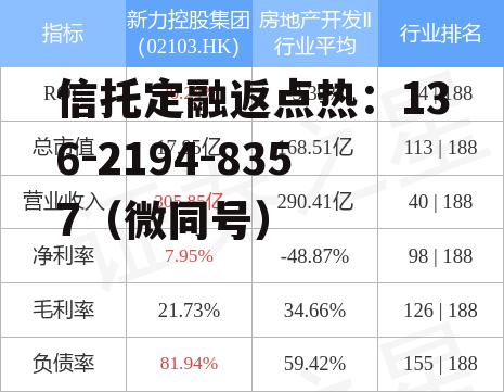 新力控股股票，新力控股股票发行价