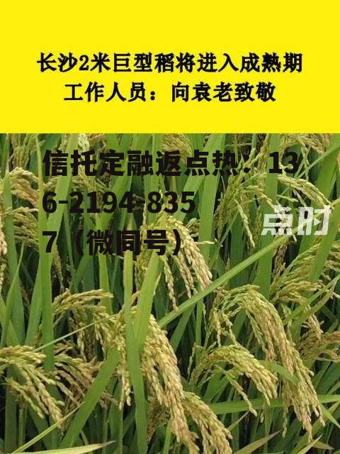隆平，隆平稻作公园