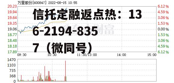 万里股份，万里股份公司简介
