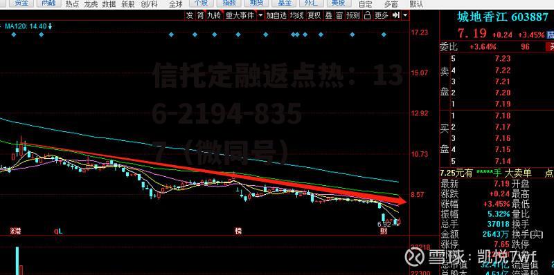 300132股票，300132股票什么时间出中报