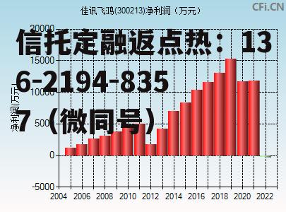 股票300213，股票300245行情