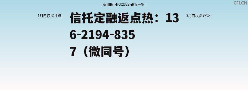 新朋股份，新朋股份公司简介