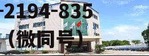 新朋股份，新朋股份公司简介