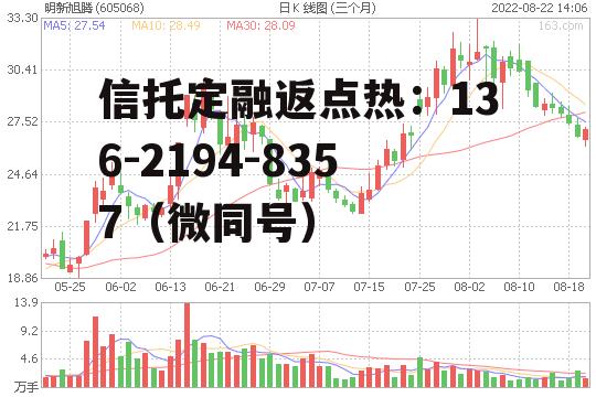 福能股份，福建福能股份