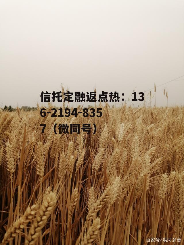 蓝天麦子官网，蓝天麦子旗舰店天猫